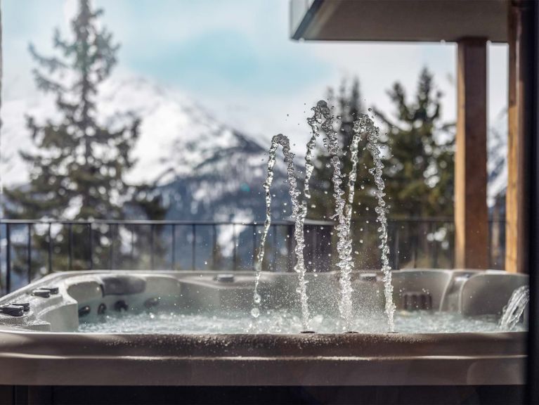Apartment L'Orée du Bois with outdoor hot tub