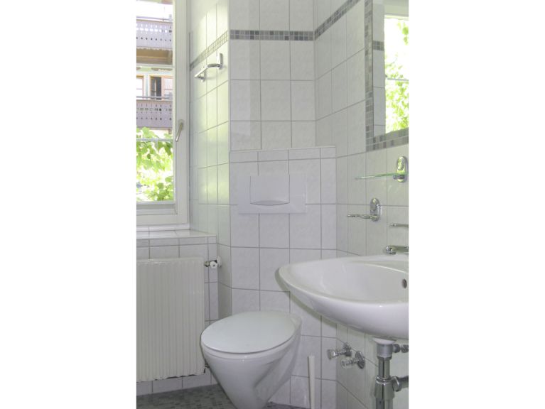 Chalet-apartment Rauter
