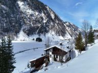 Chalet Taube-21