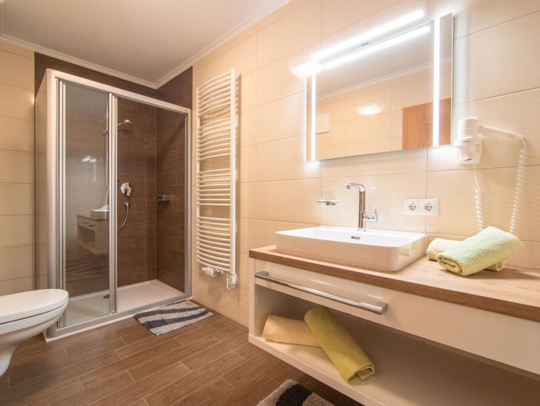 Chalet-apartment Blasinghof II