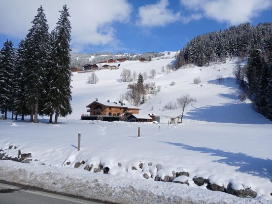 Chalet-apartment Fassl-4