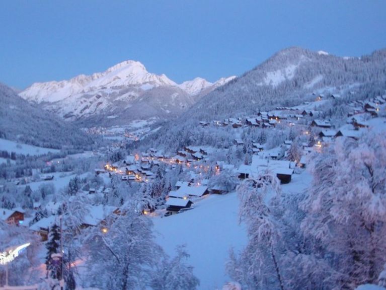 Chalet-apartment La Puce