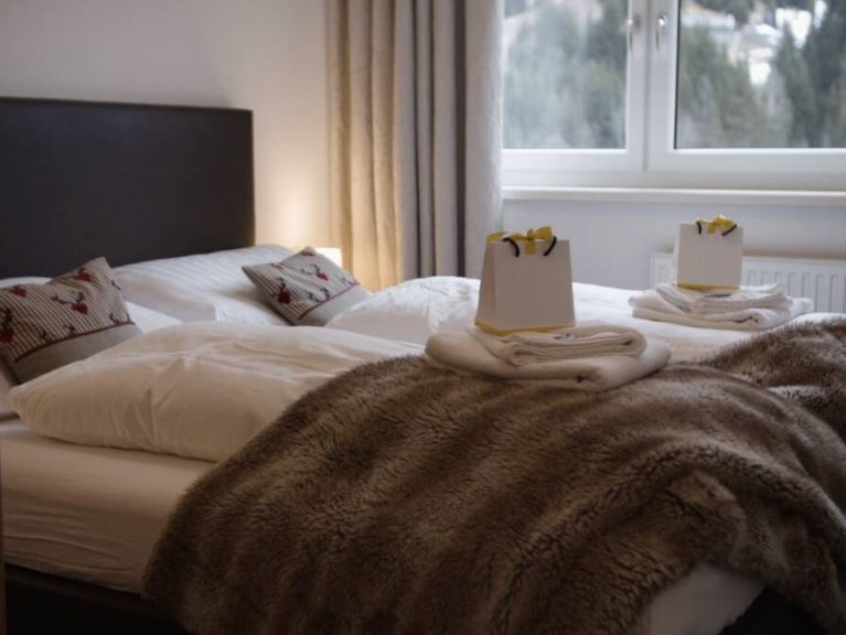 Chalet Gabl including catering