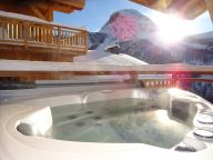 Chalet Caseblanche Aigle with wood stove, sauna and whirlpool-14