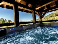 Chalet du Cocoon Pierra Menta 2 with sauna and shared outdoor hot tub-3
