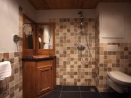 Chalet-apartment La Cime des Arcs confort with cabin-12