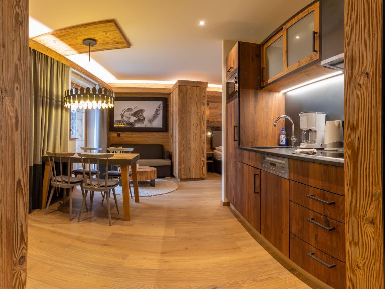 Chalet-apartment Alps Zillertal