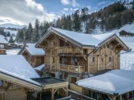 Chalet du Cocoon Mont-Blanc with outdoor hot tub-32