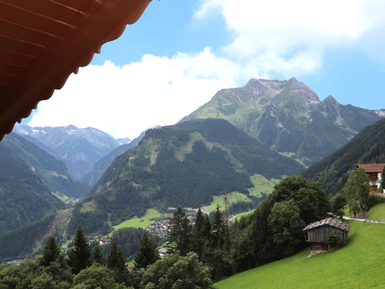 Chalet-apartment Honsnerhof