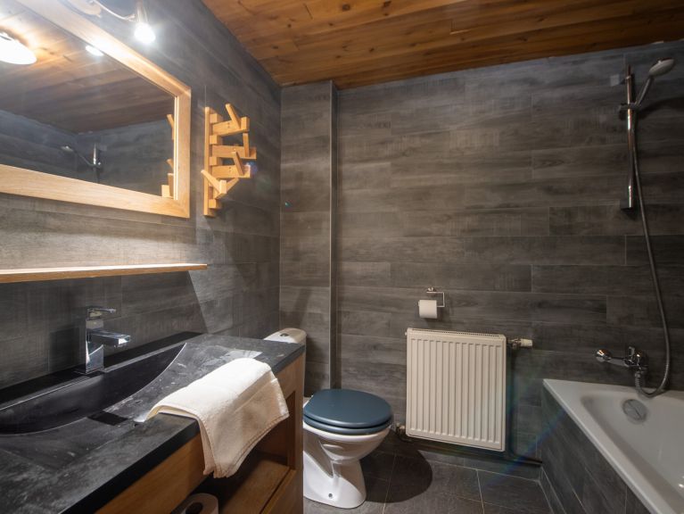 Apartment Les Chalets du Thorens
