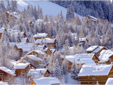 Ski village Authentic and quiet village in the valley of Méribel-2