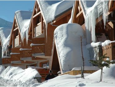 Ski village Cosy winter sport village with many facilities-3