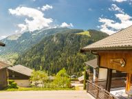 Chalet Dormeur with sauna and outdoor whirlpool, Sunday to Sunday-19