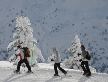Ski village Cosy winter sport village with many facilities-4