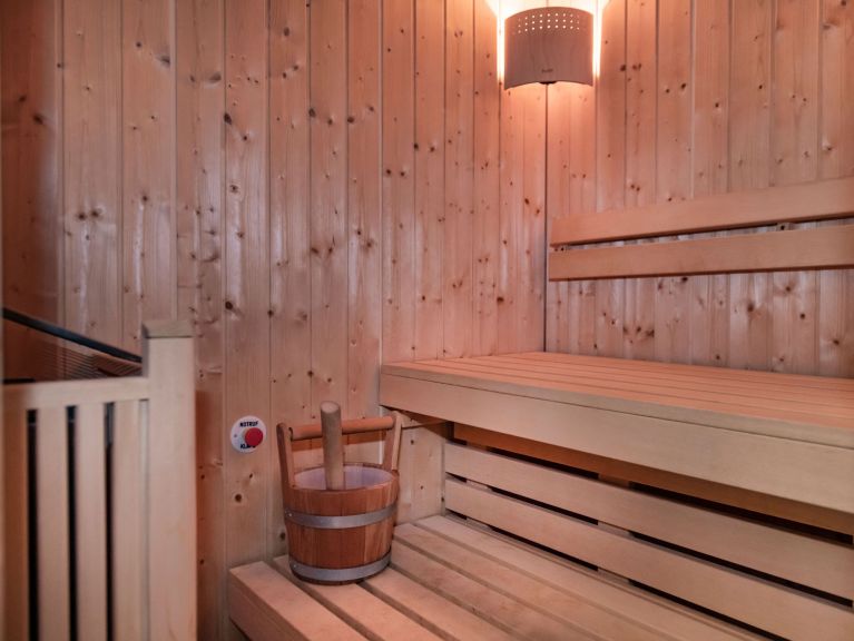 Apartment Gerlos Alpine Estate Type 3A with sauna