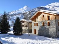Chalet Loriquet Jaune-17