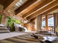 Chalet-apartment Montagnettes Oxalys-6