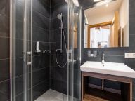 Chalet-apartment Wildkogelresorts Penthouse type IIa-18
