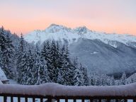 Chalet Le Clos du Pré with a family room-23