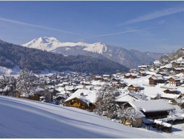 Ski village Authentic and lively winter sport village at Les Portes du Soleil-8