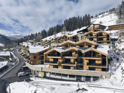 Chalet-apartment AlpenParks Rehrenberg Alpine-1