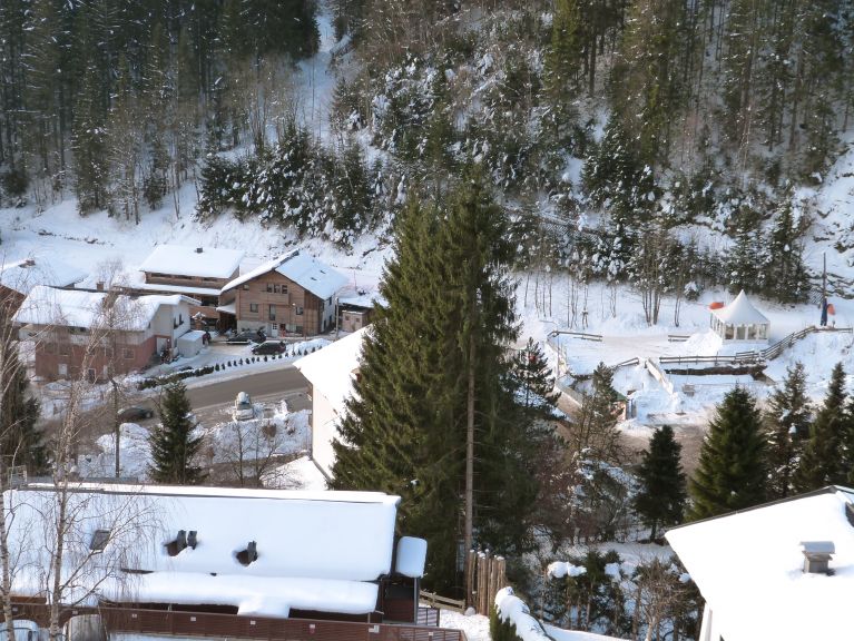 Apartment Wildbachhof