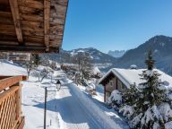 Chalet Ferme du Rys with outdoor whirlpool, Sunday to Sunday-25