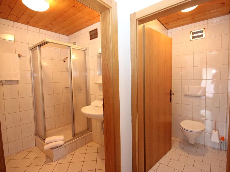 Chalet-apartment Voithofer Top 4