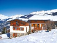Chalet Les Gentianes with private sauna-15