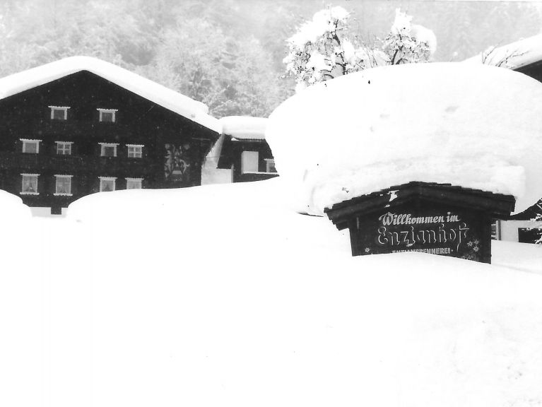 Apartment Enzianhof