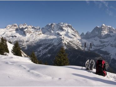 Ski village Cosy winter sport village in the heart of Val di Fessa-4