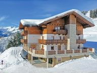 Chalet-apartment Berghof combi, with two (private) infrared cabins-20