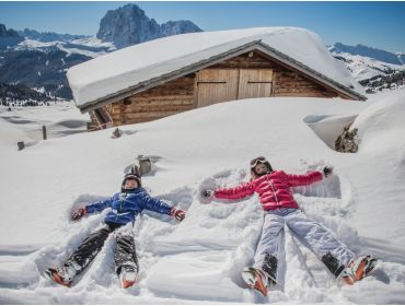 Ski region Dolomites - Val Gardena-3