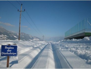 Ski village: Haus im Ennstal-1