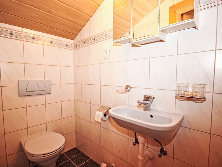 Chalet-apartment Untererhof